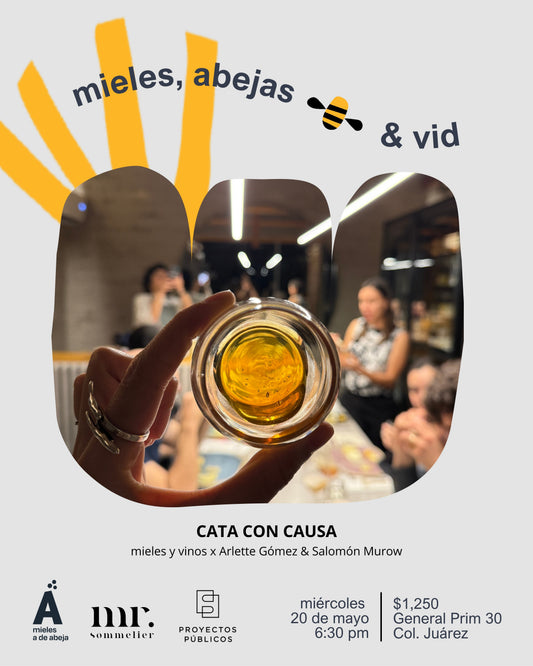 cata de mieles y vinos