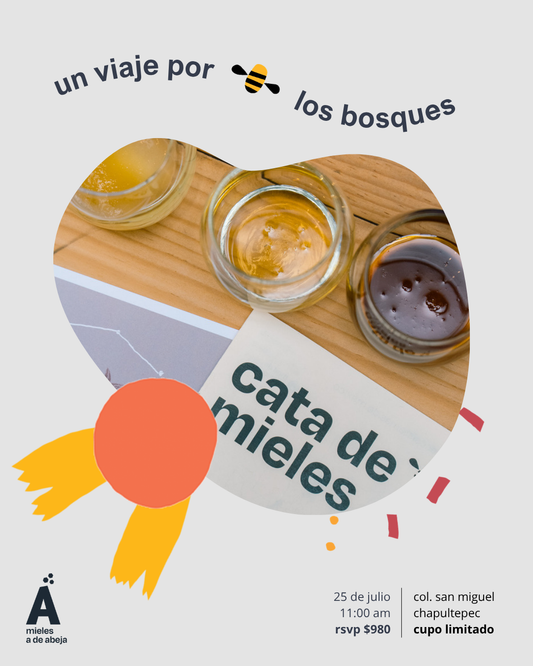 cata de mieles del bosque